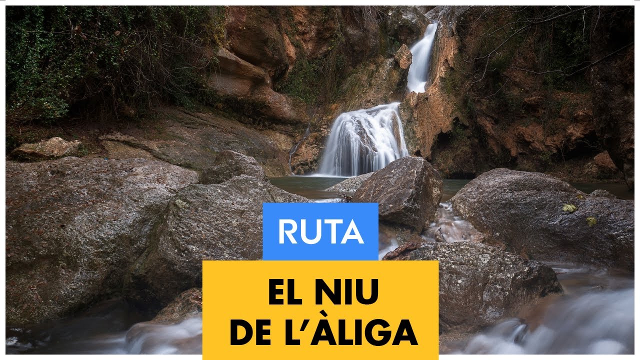 Ruta al NIU de L'ÀLIGA de ALCOVER - Camino con Santiago
