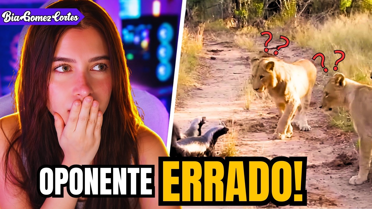 BIAGOMEZ REAGE 🔴 Quando os Animais Escolhem o Oponente Errado!