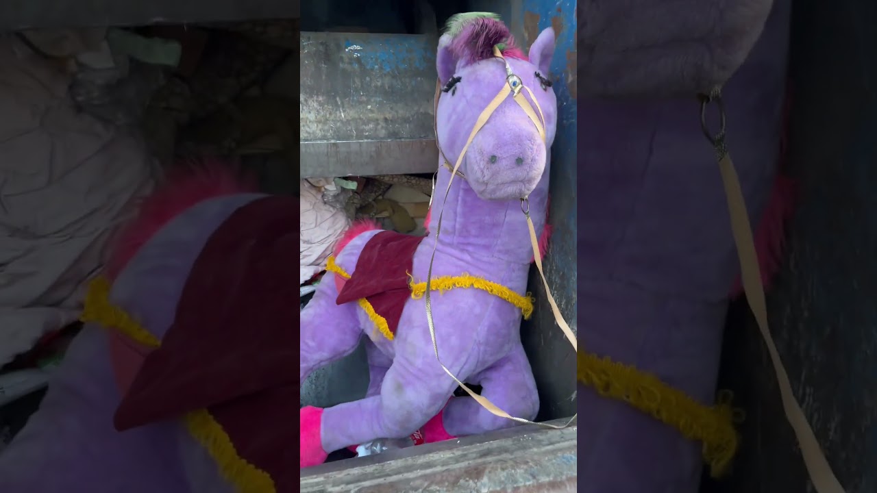 Pony gets her head crushed in garbage truck Full Audio no music 😉
