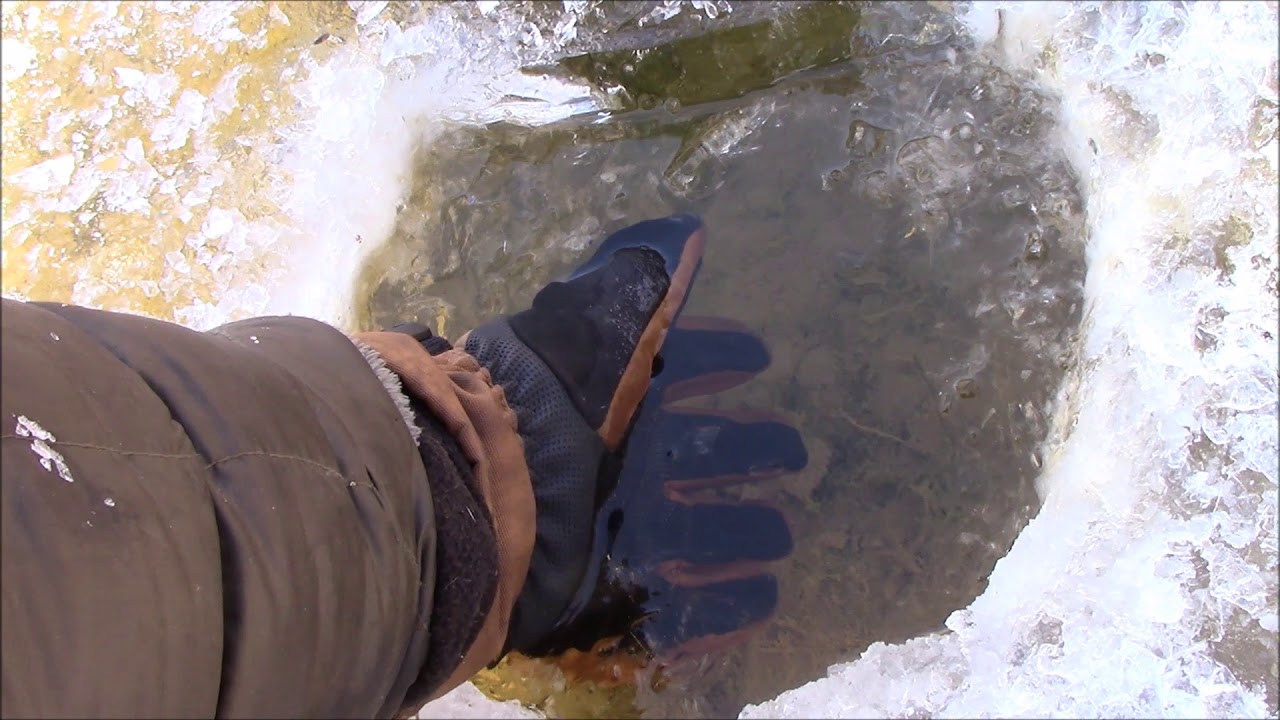 Quick Review Of Carhart Winter Gloves