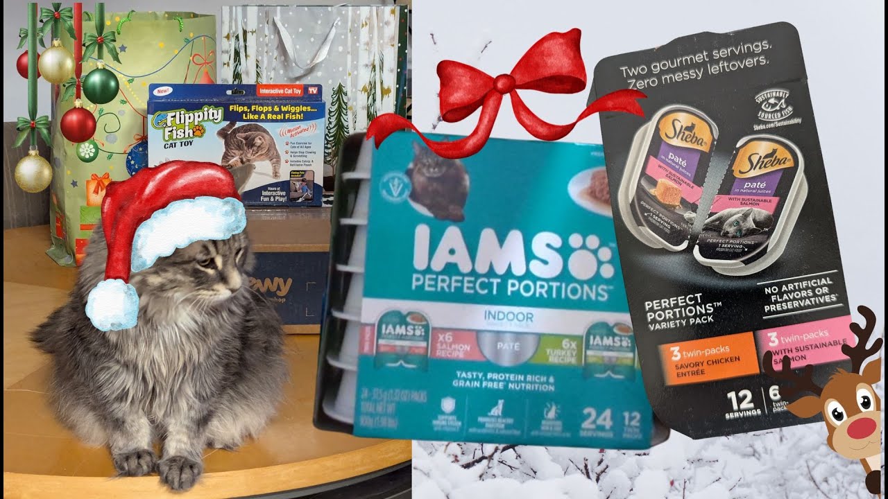 FEISTY'S Christmas Special - will he LIKE his NEW CAT FOOD? (PART 2)
