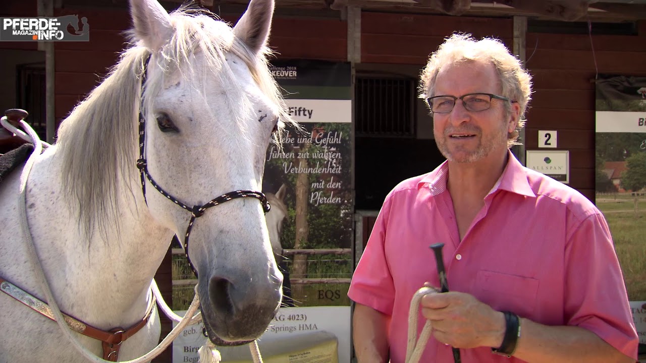 Mustang Makeover 2018 - Birger Gieseke