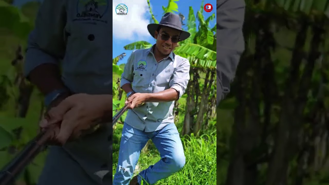 Lote con cultivos de 30x67 Mts a solo 15, minutos de Dabeiba