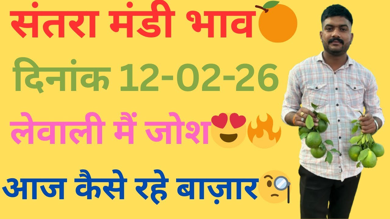नारंगी भाव में गिरावट😱🔥लेवाली में जोश!!शानदार आवक!!भवानीमडी दिनांक 12-02-26 #santara  #dhiru hada 👏