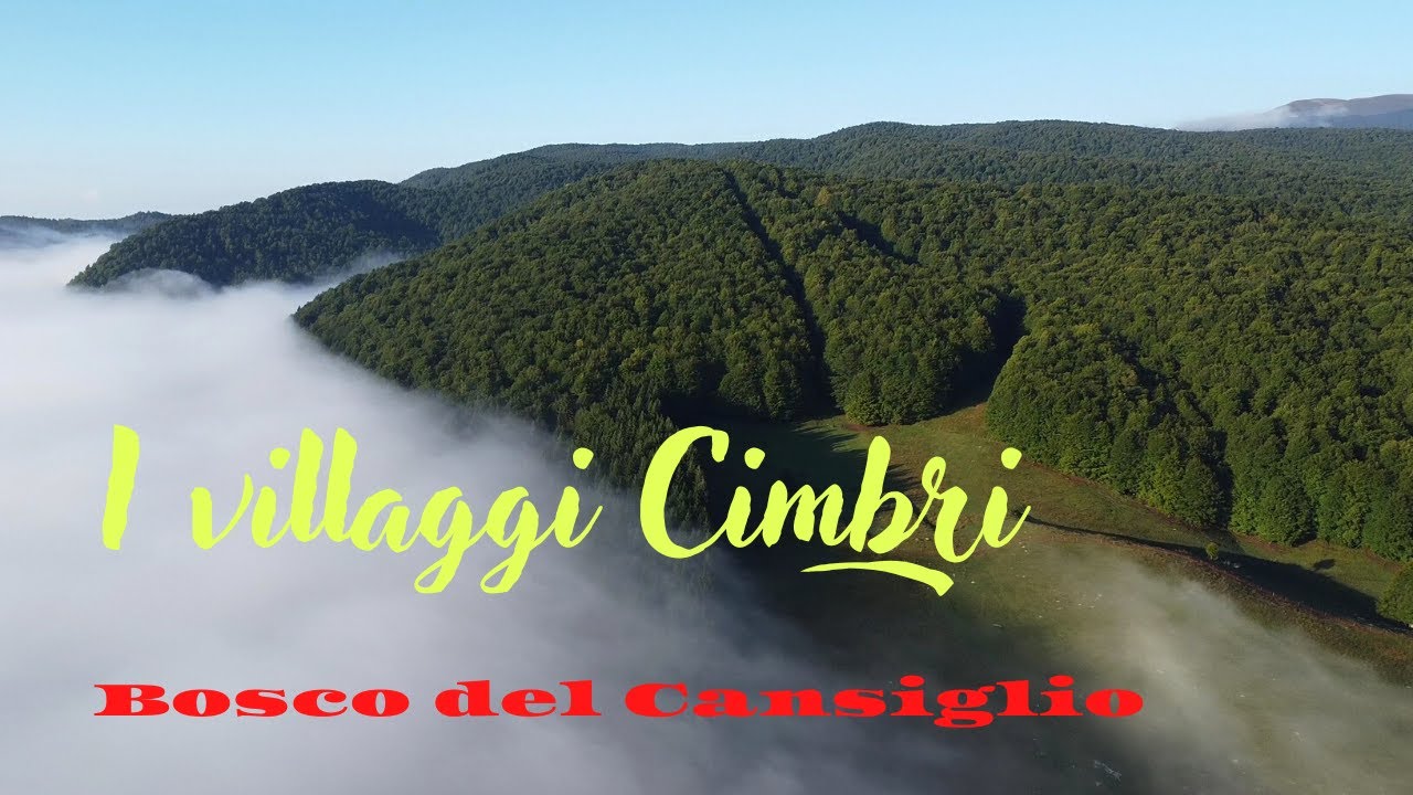 Passeggiata in Cansiglio  ANTICO TROI DEI CIMBRI