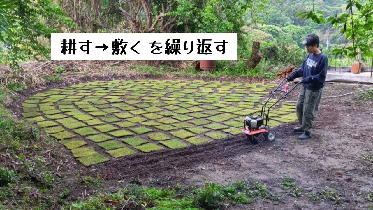 素人2人でキャンプサイト作り！前回 ユンボで整地した後の続きです。問題発生しながらも 芝生張りをするよ〜！ @yokogihousechannel