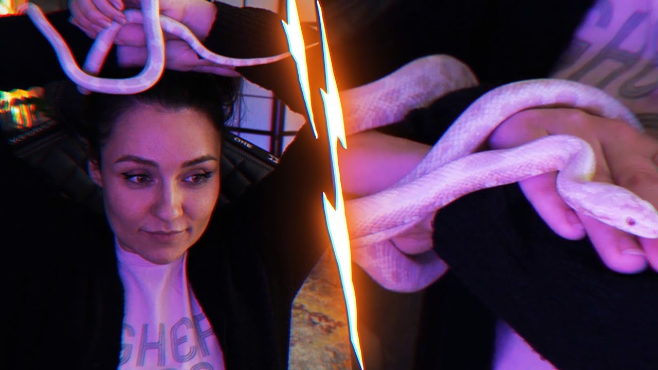 Wieso eine Schlange als Haustier? 😱🤷&zwj;♀️ | Regina Hixt Highlights
