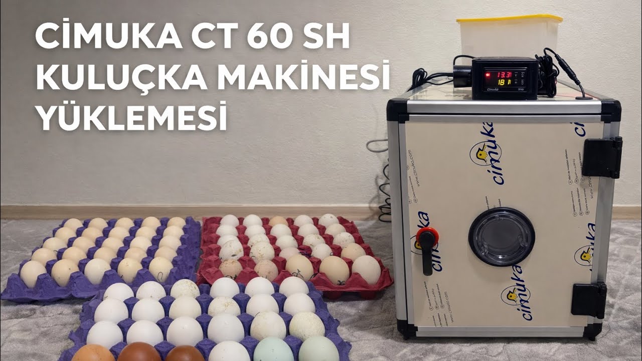 CİMUKA CT 60 SH KULUÇKA MAKİNEMİZİN İLK YÜKLEMESİ YAPILDI! #incubator #kuluçkamakinesi 