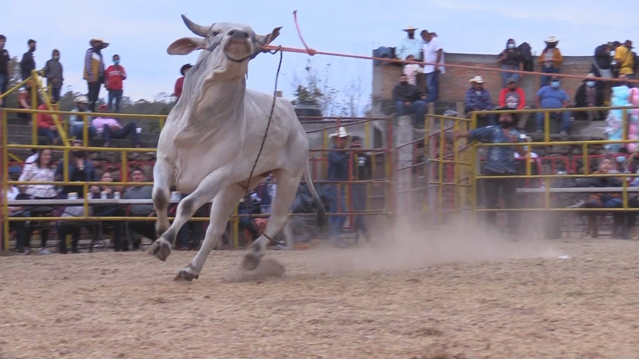 🔴 Jaripeo en Vivo HERMENEGILDO GALEANA MICHOACÁN 🔴 REYES DE JALISCO 18 diciembre 2025