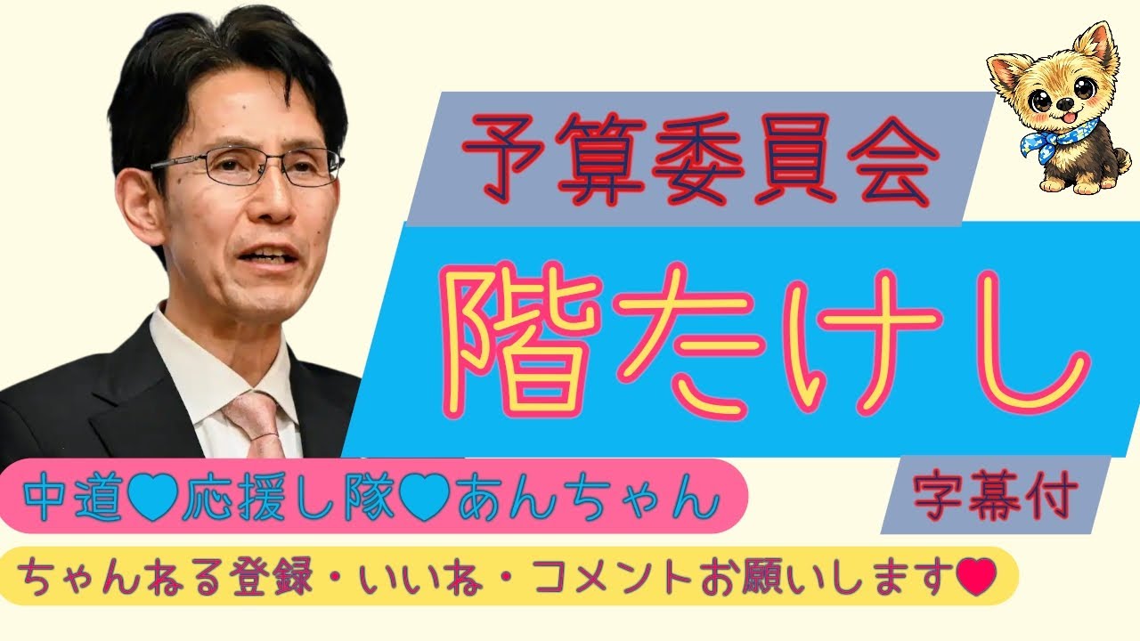 【予算委員会】しなたけし幹事長　字幕付《エネルギー高騰対策》他　#中道いいじゃん 