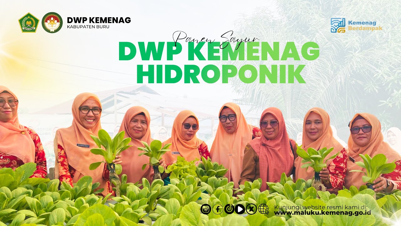 Panen Sayur Hidroponik: DWP Kemenag Buru Teguhkan Peran Perempuan Dalam Ketahanan Pangan Keluarga