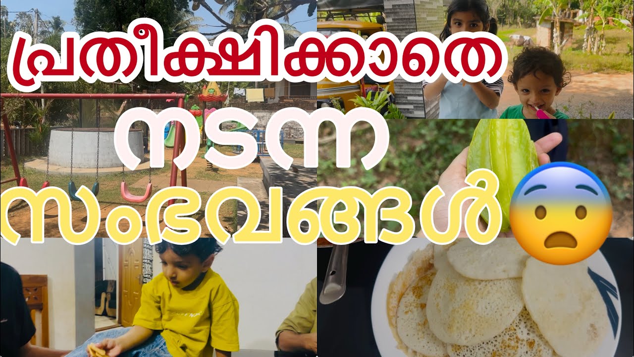 അങ്ങനെ ഒരു ദിവസം കൂടി കടന്നു പോയി 😇|| ANNUS WONDERLAND 