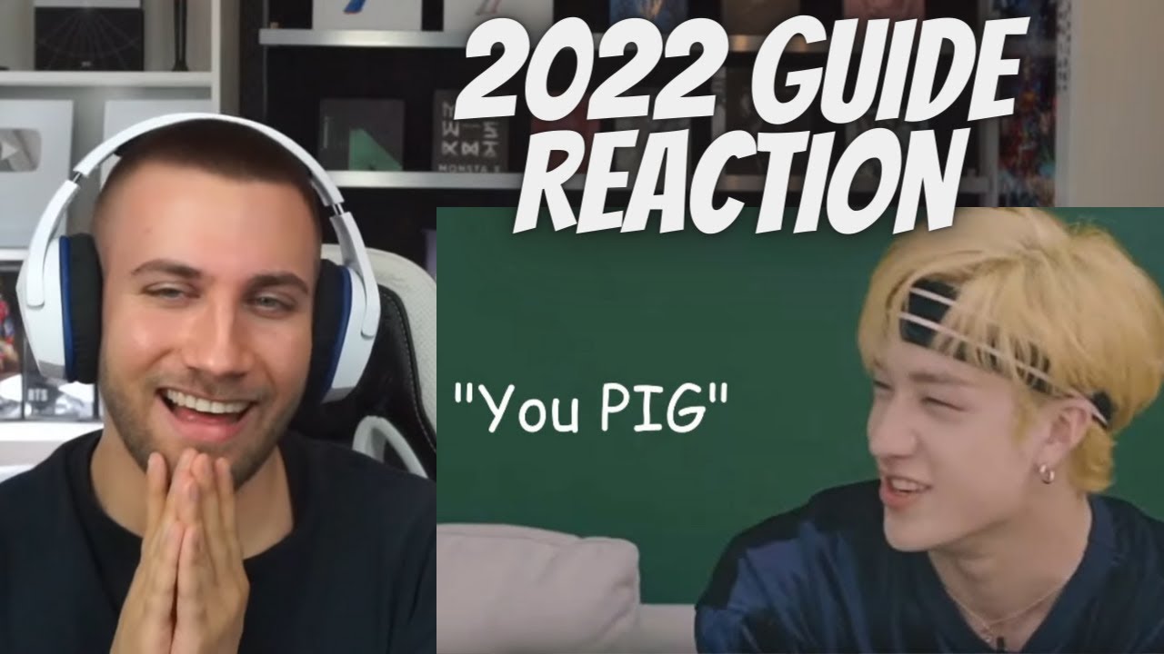 NEW STAY reacts to LONG (BUT UPDATED) 2022 GUIDE TO STRAY KIDS ( I LOVE THEM ALL!!)