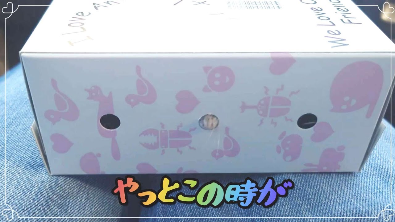 新しい家族ができました！【やっとこの時が！！】