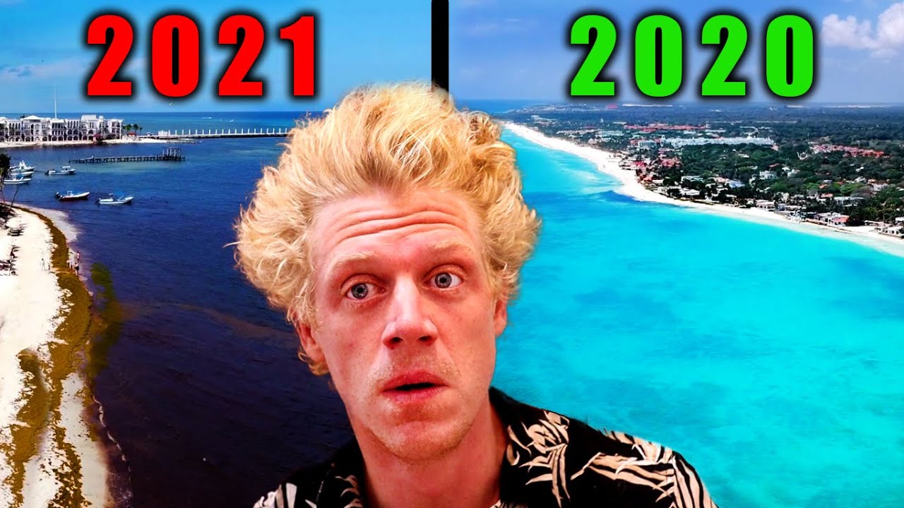 WHAT HAPPENED IN PLAYA DEL CARMEN? AUG 2021