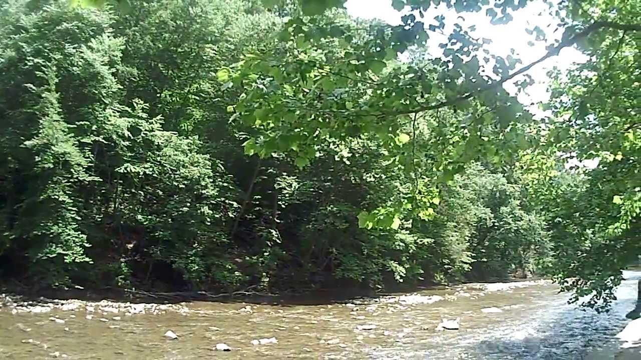 Wissahickon Valley Park - Forbidden Drive (Part Two)