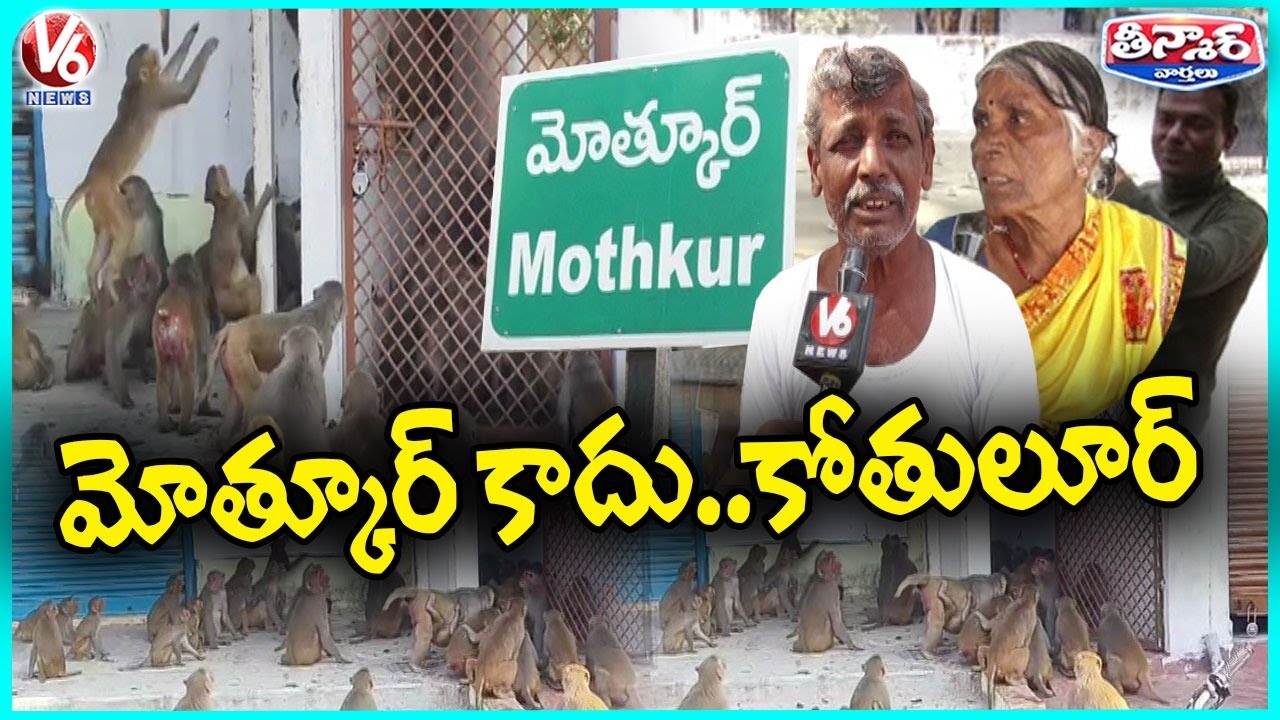 Mothkur Village Public Facing Problems With Monkeys | V6 Teenmaar