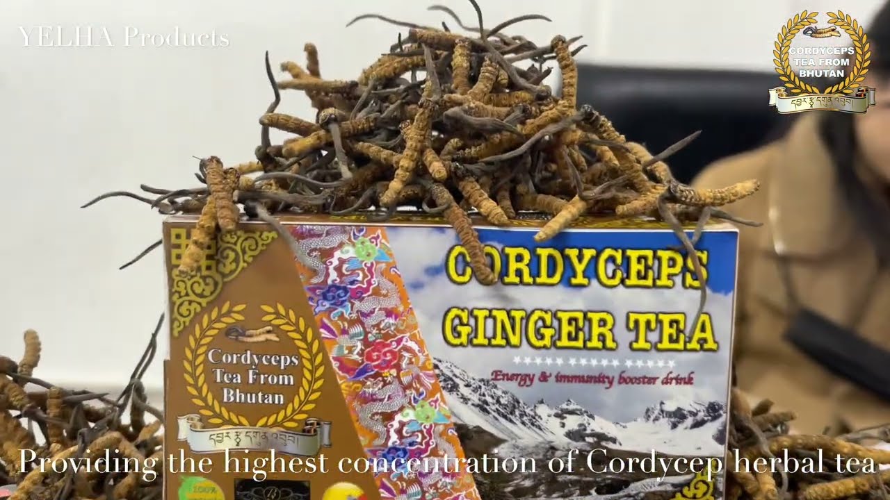 Highest Concentration of Cordycep herbal tea made in Bhutan. ( Yelha Cordycep Products )