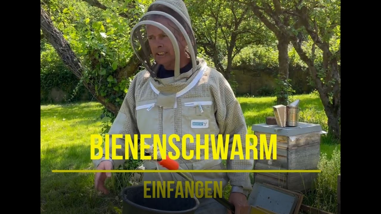 Schwarm einfangen mit dem Obstpfl&uuml;cker