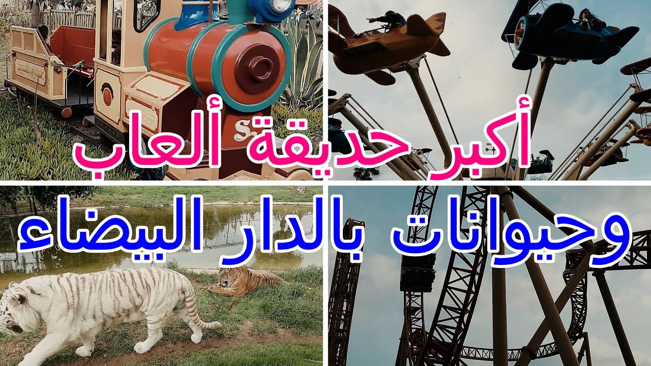 زيارة أكبر حديقة ألعاب وحيوانات بالدار البيضاء parc sindibad casablanca 2022
