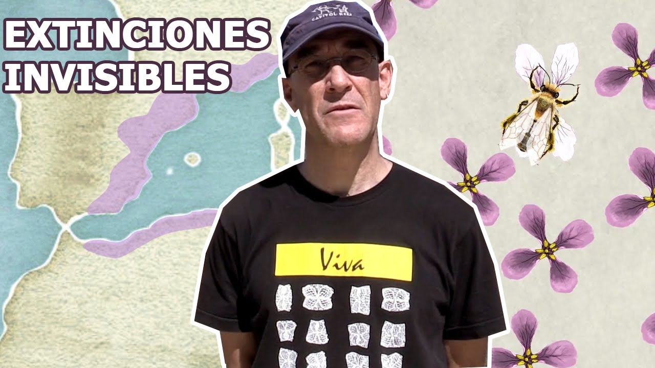 Extinciones invisibles: la pérdida de diversidad en zonas áridas de la Península Ibérica