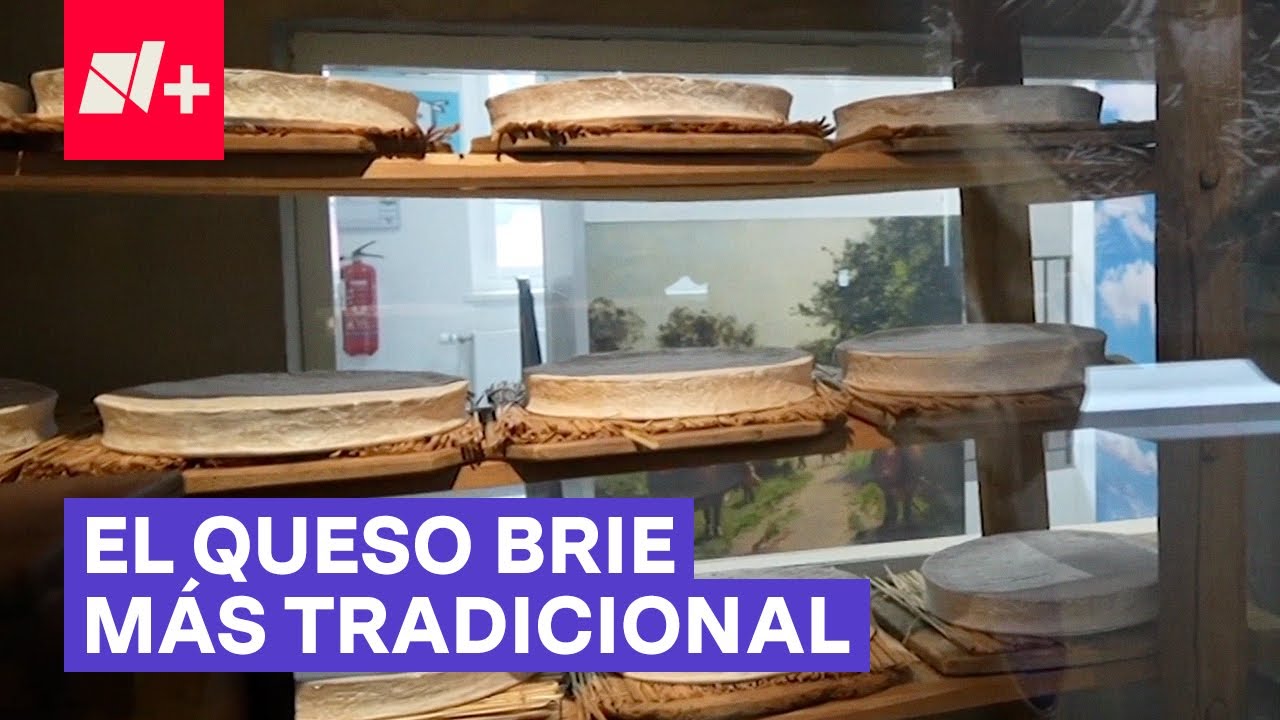 Meaux, el pueblito francés que hace queso con la misma receta de hace siglos - N+