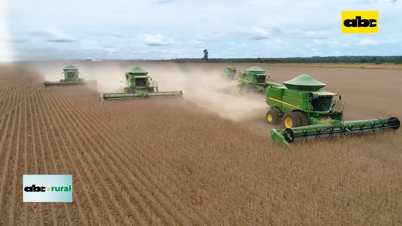 Cosecha de soja en Brasil podr&iacute;a bajar y Argentina con buen panorama