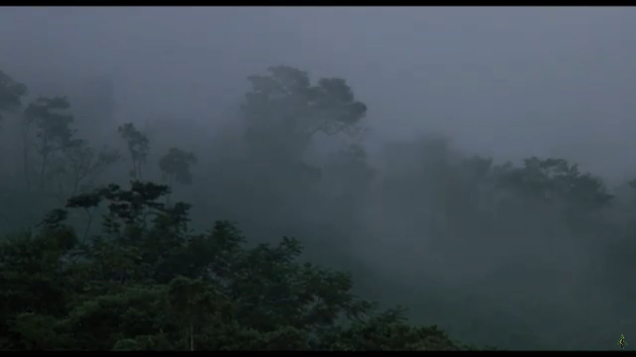 Predator - It Uses The Jungle [HD]