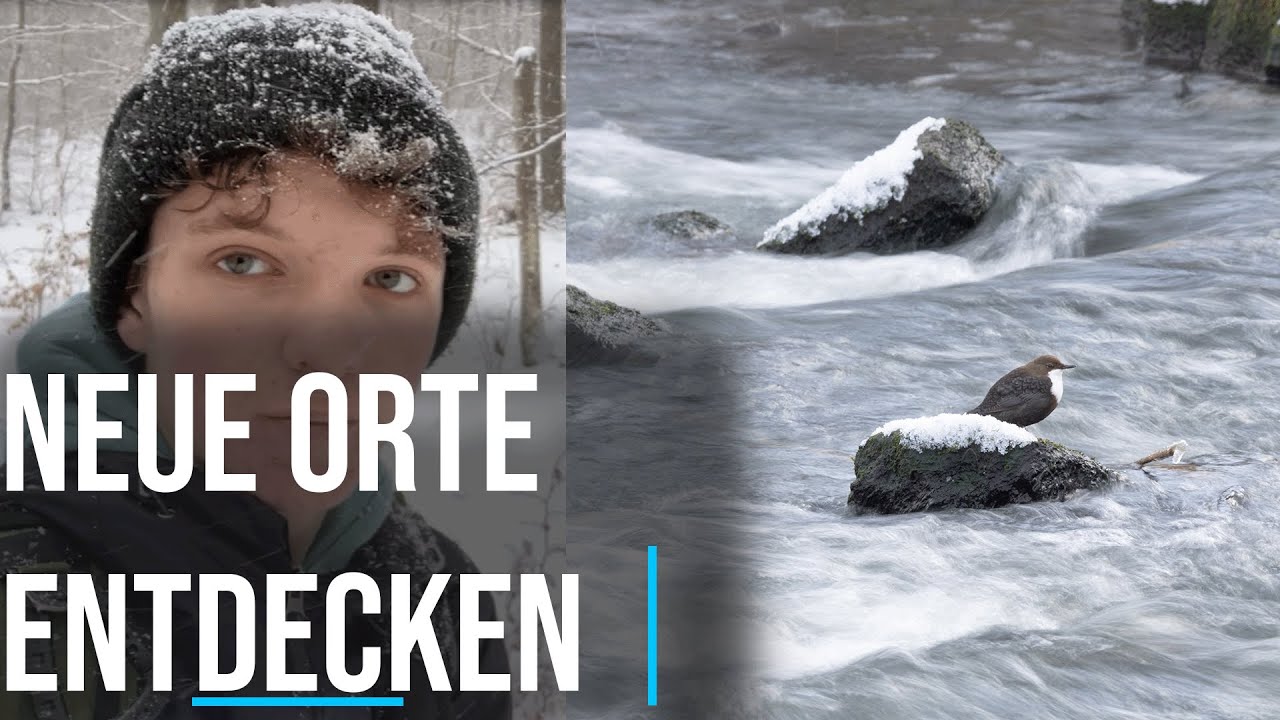 Nicht immer läuft alles nach Plan in der Fotografie