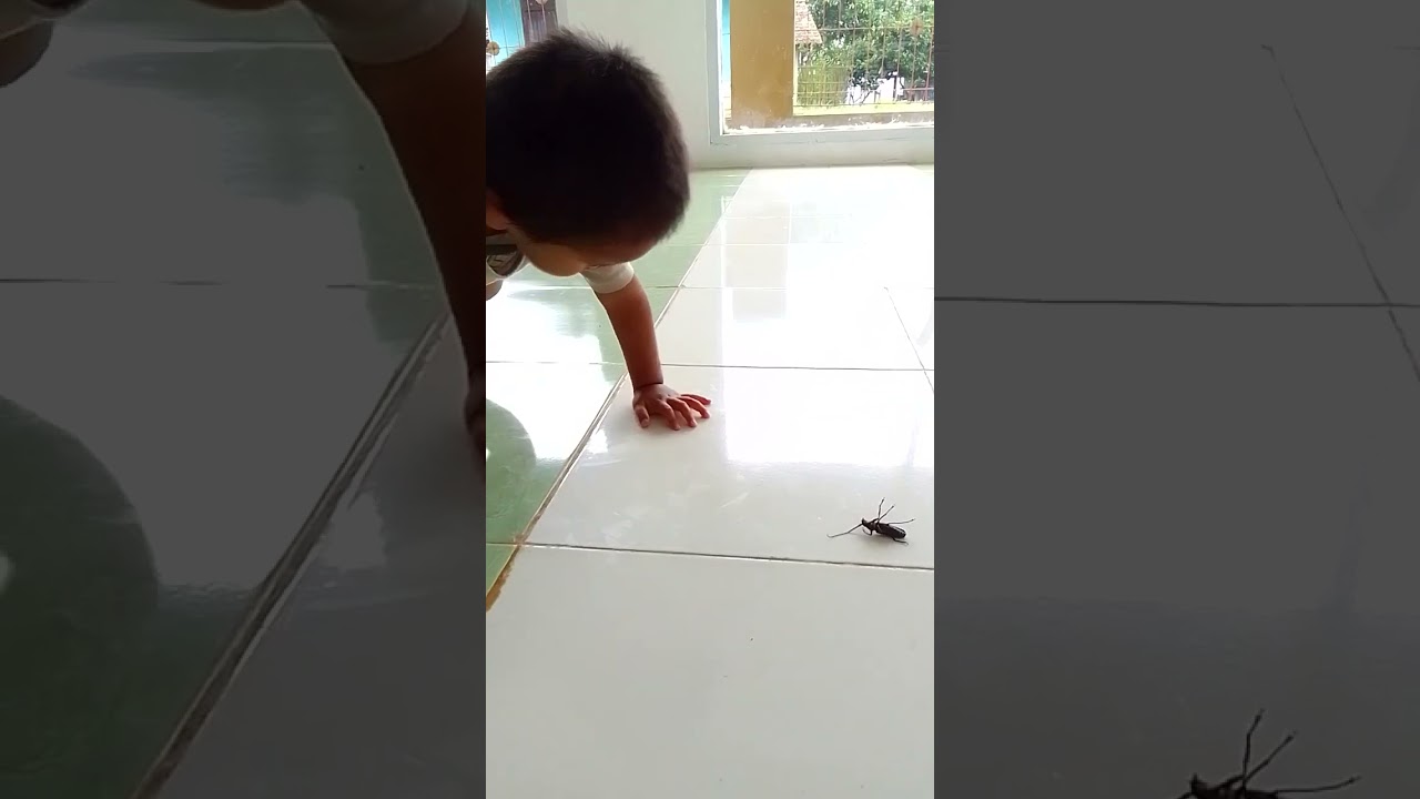 Viral Dede Ilham usir kecoak #Shorts #idulfitri2024 #semangat #dirgahayurepublikindonesia