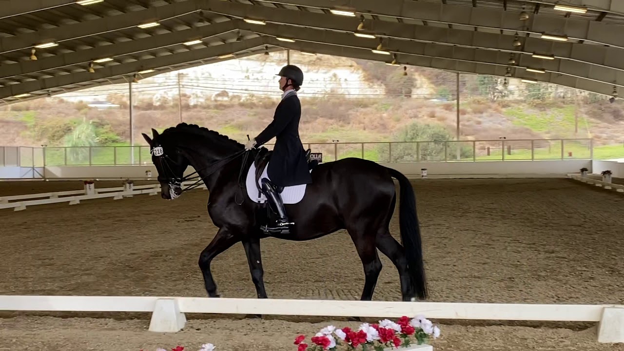 FEI Grand Prix Test / Ashley Donadt and Sundayboy