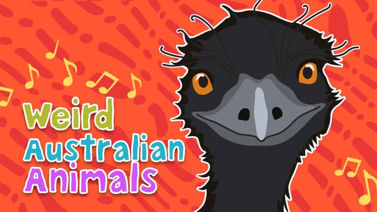 Weird Australian Animals: Australian Song with Lyrics