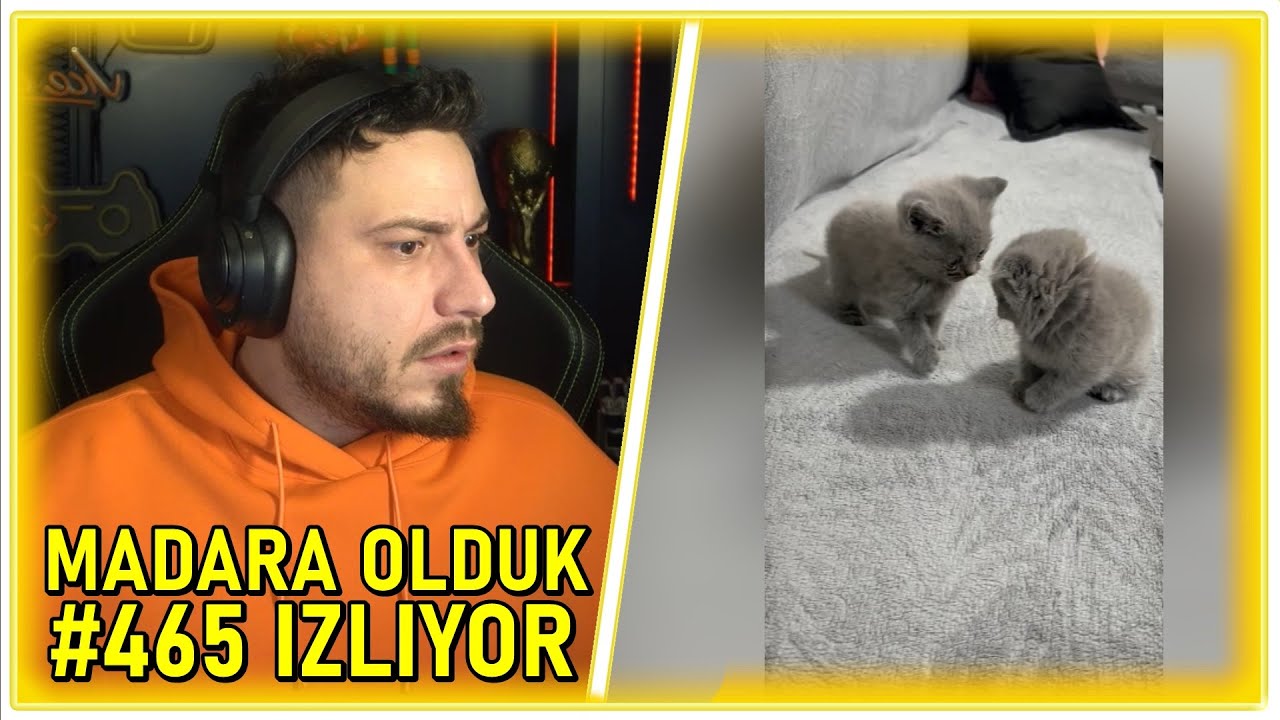 Ataberk Doğan | Madara Olduk #465 İzliyor