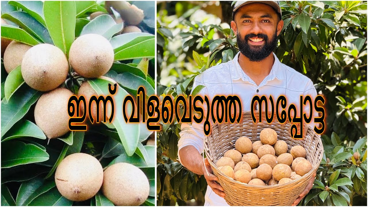 നോമ്പിനു ജ്യൂസ്‌ അടിക്കാനുള്ളത് കിട്ടി 👍😊