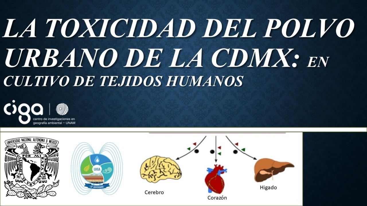 La toxicidad del polvo urbano de la CDMX