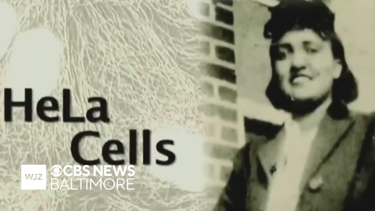 Estate of Henrietta Lacks settles third suit against drug companies over use of cells