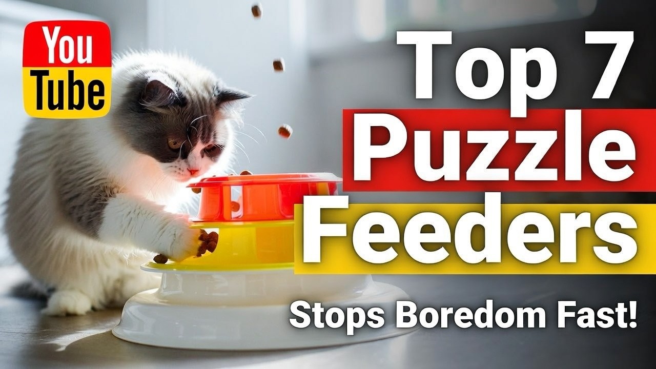 Top 7 Best Cat Puzzle Toy Food Dispensing Review (Surprising) Stop Boredom & Slow Down Eating  2026