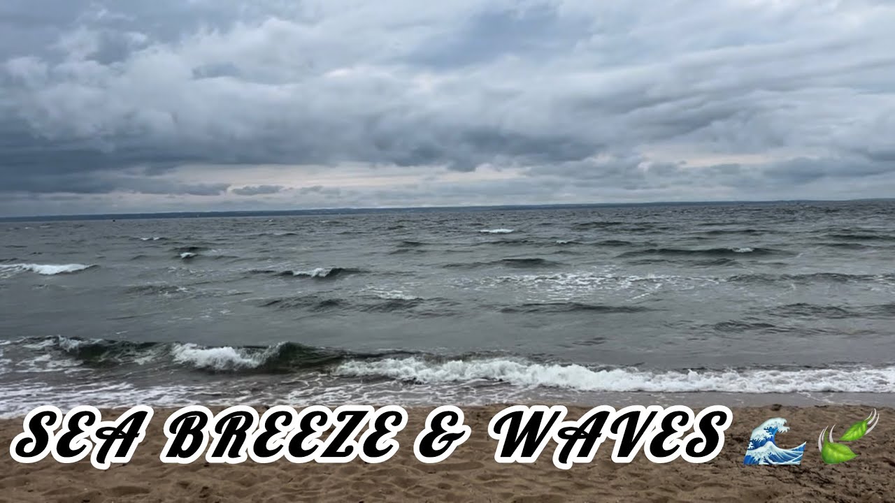 Feel the sound of the sea 🌊 Calming melody of the waves 🌊