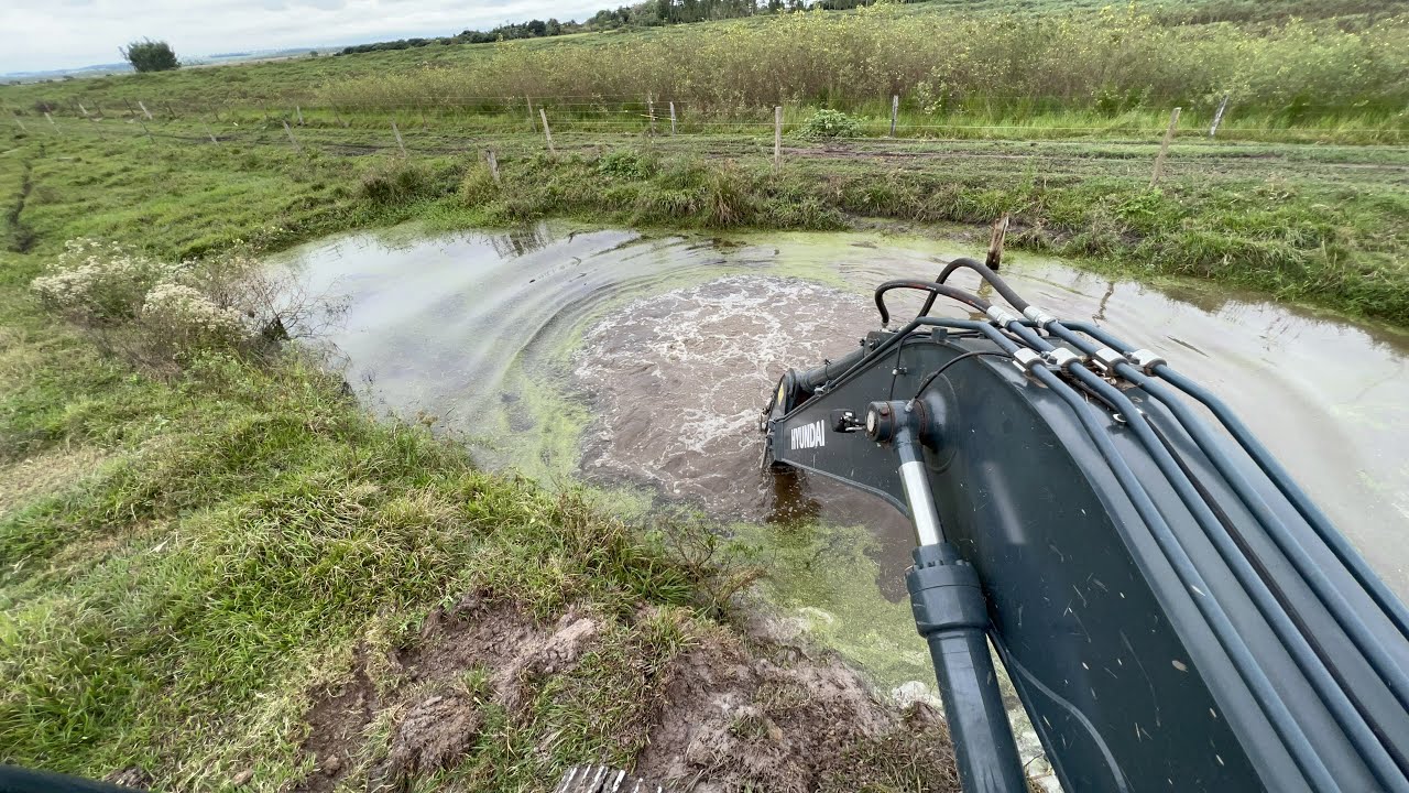 LIMPANDO TANQUE DE PEIXE 🐟 Escavadeira hidráulica op iago