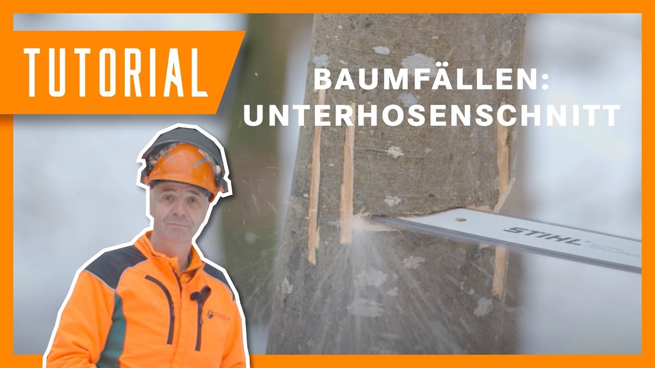 Unterhosenschnitt in der Holzernte 🩲🪓 | Fälltechnik | Sichere Holzernte #Tutorial #Forstwirtschaft