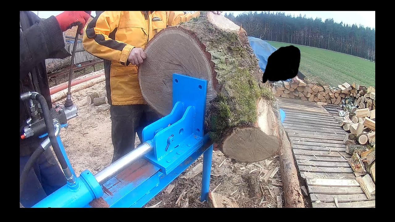 Test łuparki hydraulicznej do drewna drzewa | Konkretne drewno drzewo | 80 cm | Łuparka SAMoróbka