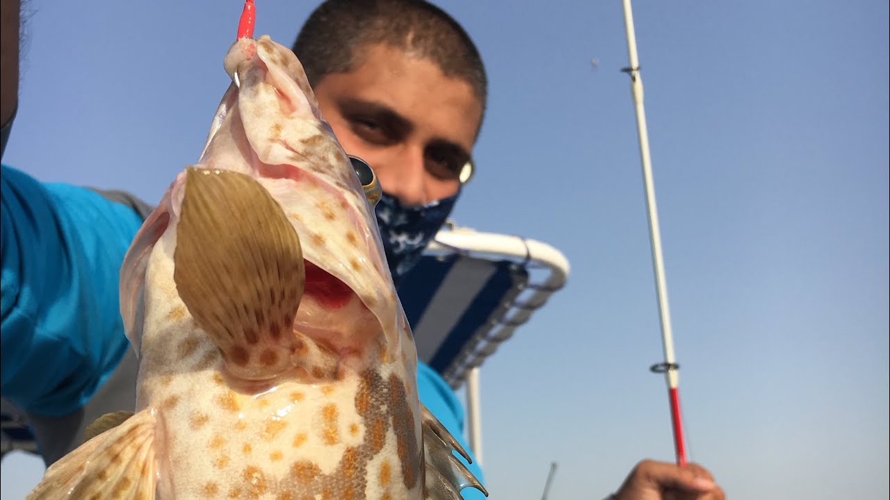 Boat Fishing in Qatar - King Mackarel | Spangled Emperor | Grouper catches PART-I of II