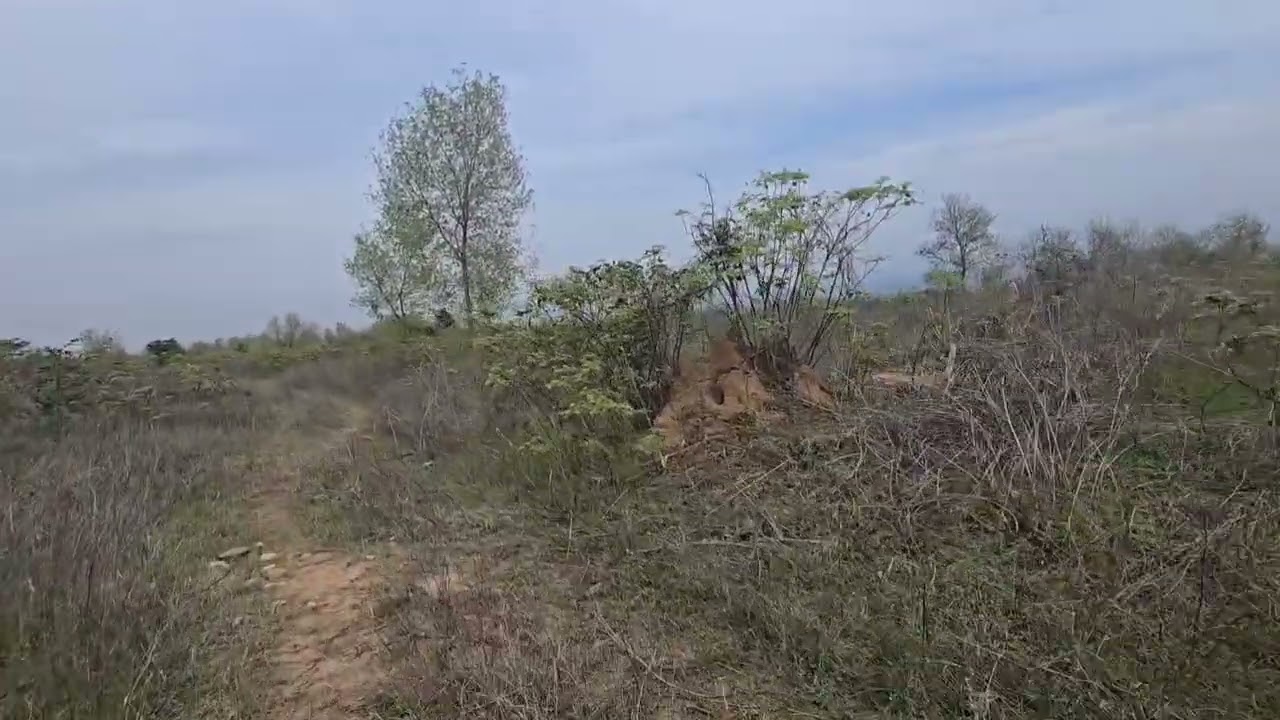 400 Acre 1000 Acre cheap  Land for sale In Hoshiarpur punjab suitable foe multiuse 9316167007