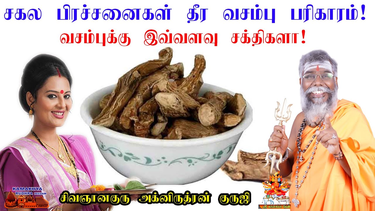 எப்பேர்ப்பட்ட ஏழை கூட பணக்காரராக மாற்றும் சக்திவாய்ந்த வசம்பு பரிகாரம்! vasambu pariharam |ருத்ரன்ஜி