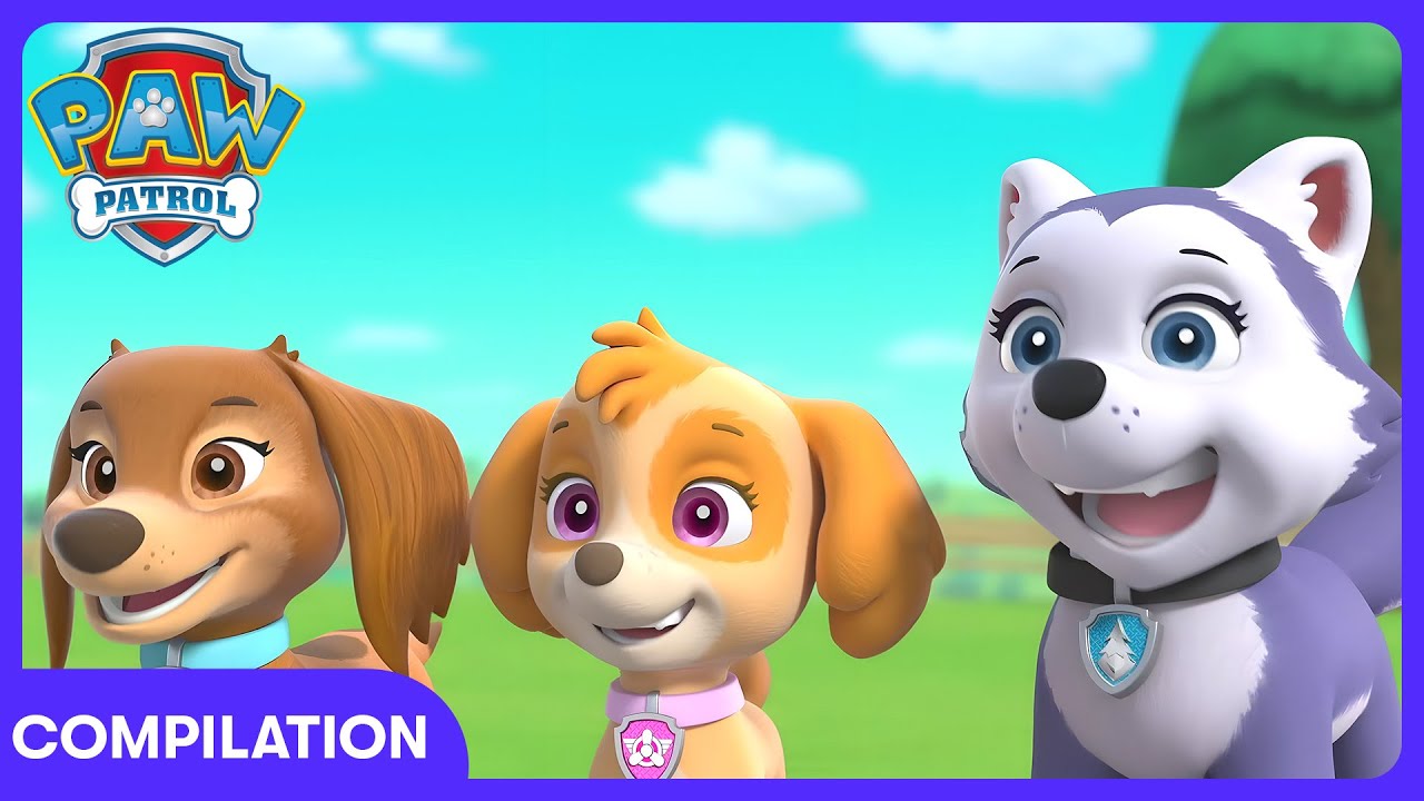 Food Song | Paw Patrol | WildBrain Disco