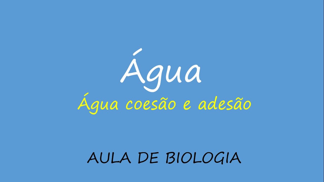 Água coesão e adesão