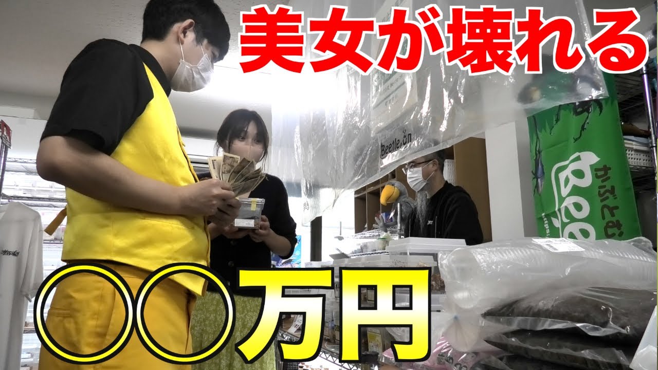 【ドッキリ】昆虫女子に大量のプレゼントを貢ごうとした結果・・・