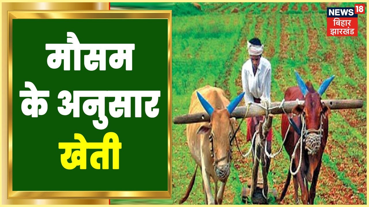 Climate And Farming | Bihar के लिए मौसम आधारित कृषि सलाह | Hindi News | Annadata