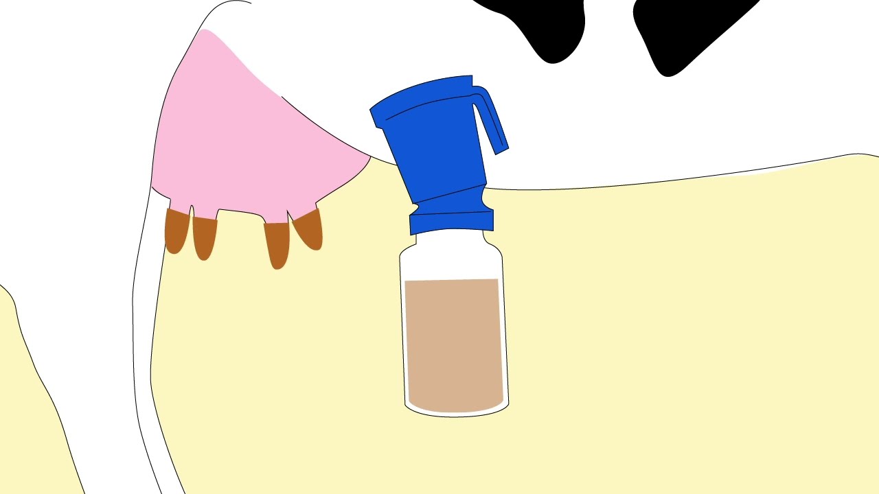 05  Good milking practice IV   Teat dipping