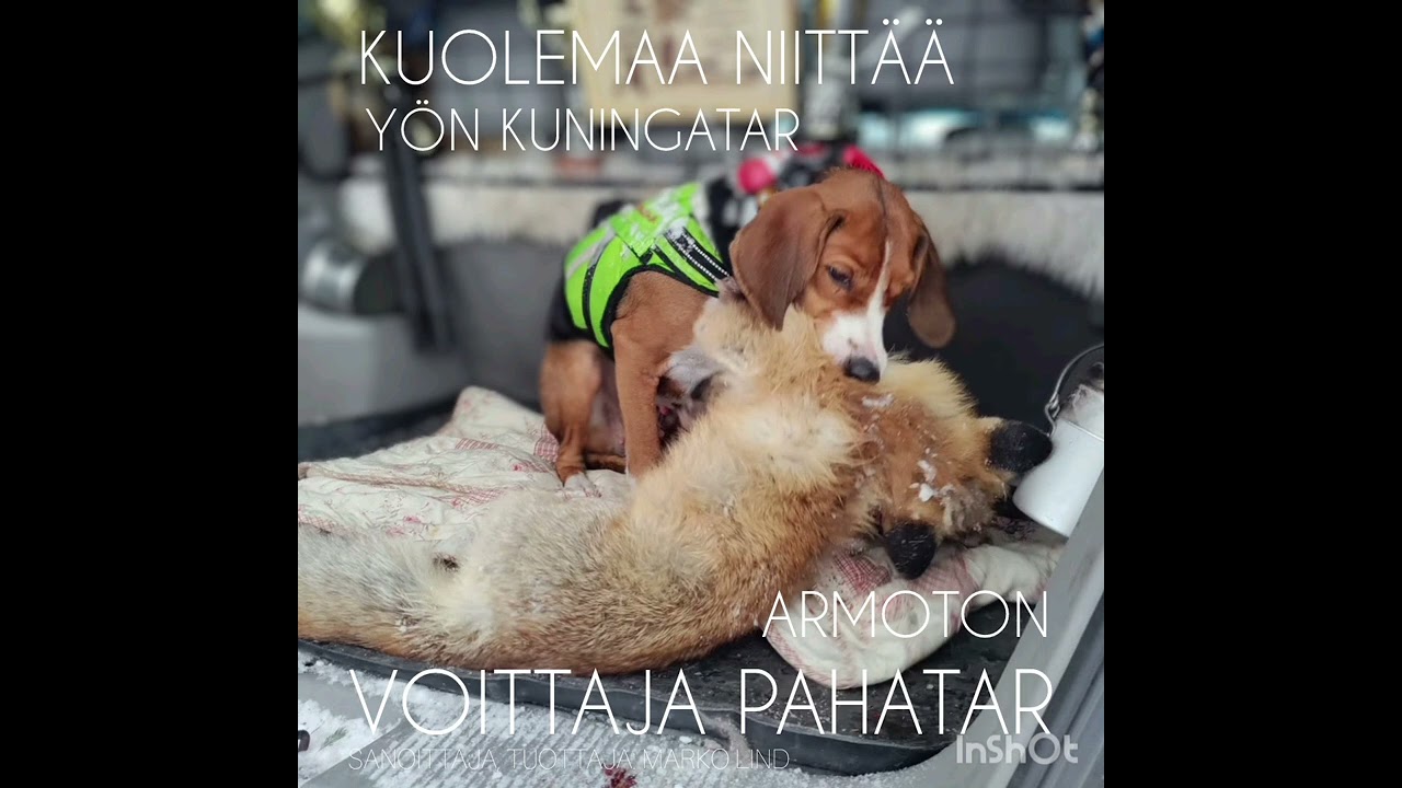 LAULU: KUOLEMAA NIITT&Auml;&Auml; Y&Ouml;N KUNINGATAR - ARMOTON VOITTAJA PAHATAR